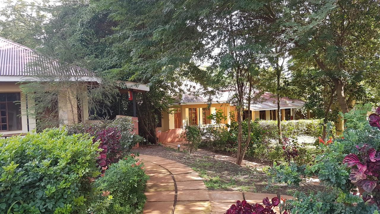 Eileen'S Trees Inn كاراتو المظهر الخارجي الصورة